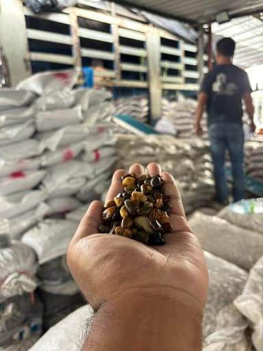 หินแกลบโขง